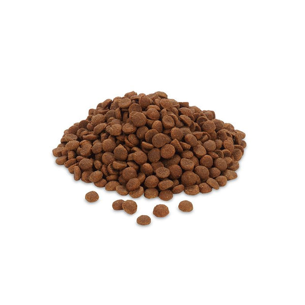 Feringa Adult Sterilised Salmon || Feringa || view 4