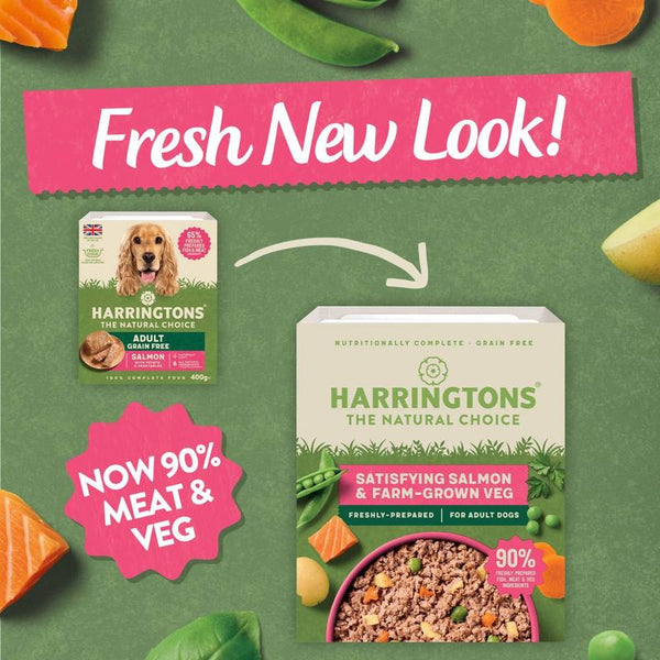 Harringtons Complete Adult Grain-Free Dog - Salmon with Potato & Vegetables || Harringtons || view 6