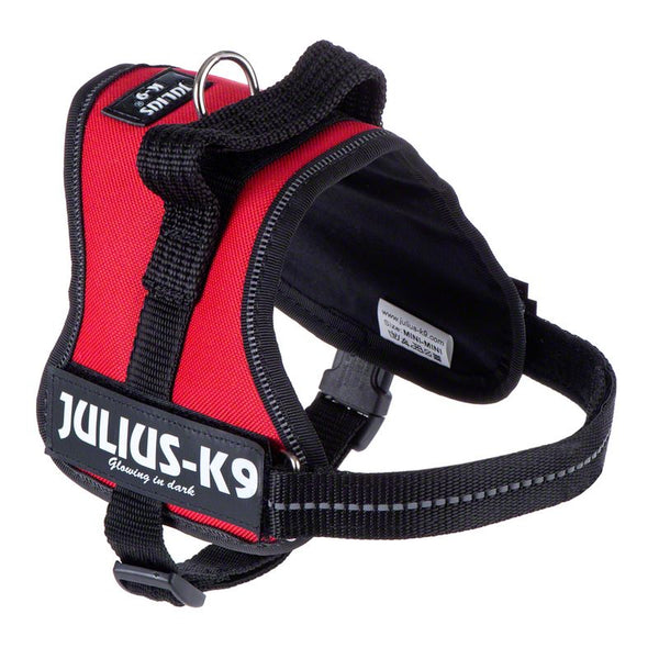 JULIUS-K9® Power Harness - Red || Julius-K9 || view 3