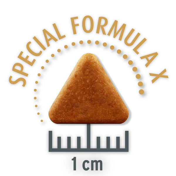 Concept for Life Economy Packs || undefined || view 12