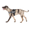 JULIUS-K9® Power Harness - Anthracite || Julius-K9 || view 6