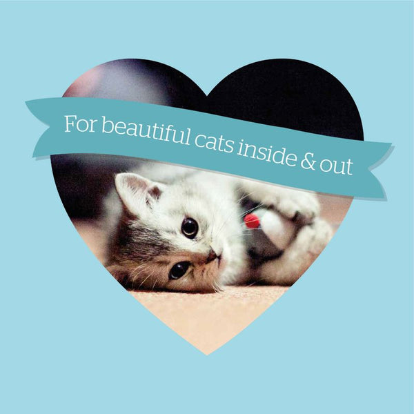 Burgess Kitten with Chicken || Burgess || view 8