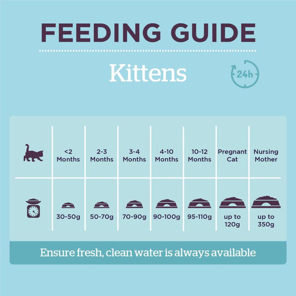 Burgess Kitten with Chicken || Burgess || view 7