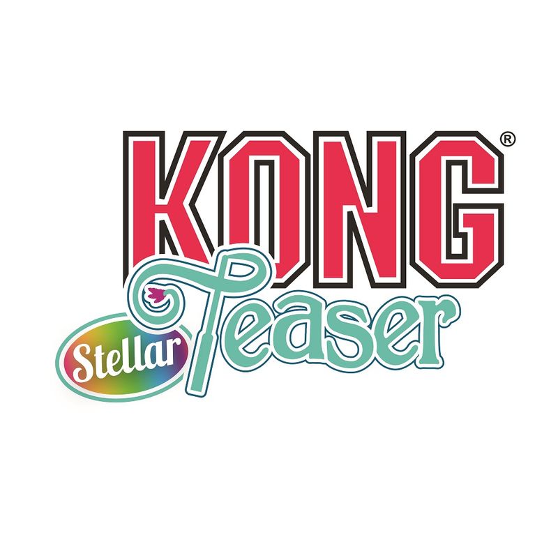 KONG Stellar Teaser. Brand name and product name visible.