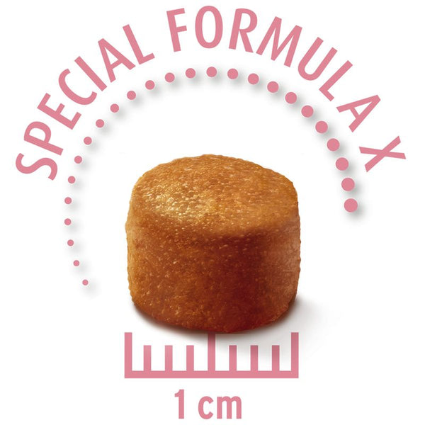 Concept for Life Economy Packs || undefined || view 10