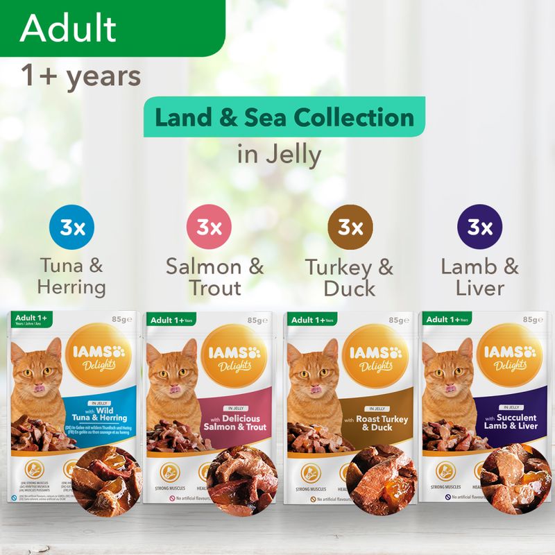 IAMS Delights Adult - Land & Sea Collection Mega Pack 48 x 85g || undefined || view 10