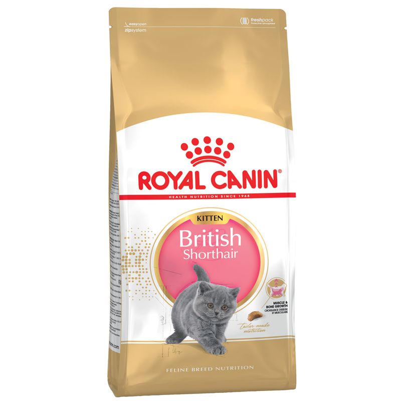 Royal Canin Kitten British Shorthair dry food for kittens, specially formulated for muscle and bone growth. Packaging with grey cat and pink label.