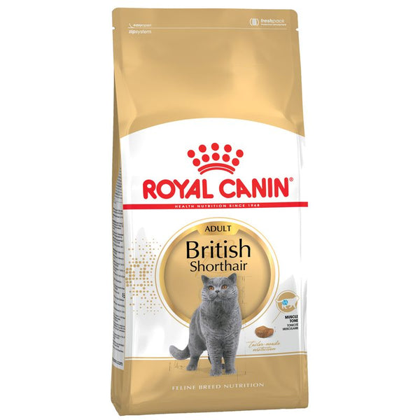 Royal Canin British Shorthair Adult || Royal Canin Breed || view 2