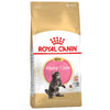 Royal Canin Maine Coon Kitten || Royal Canin Breed || view 2