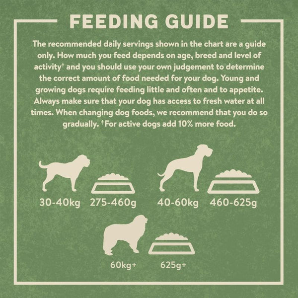 Harringtons Large Breed Adult Dog - Rich in Lamb & Rice || Harringtons || view 6