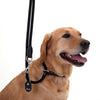 HUNTER Retriever Slip Lead - Black || Hunter || view 2