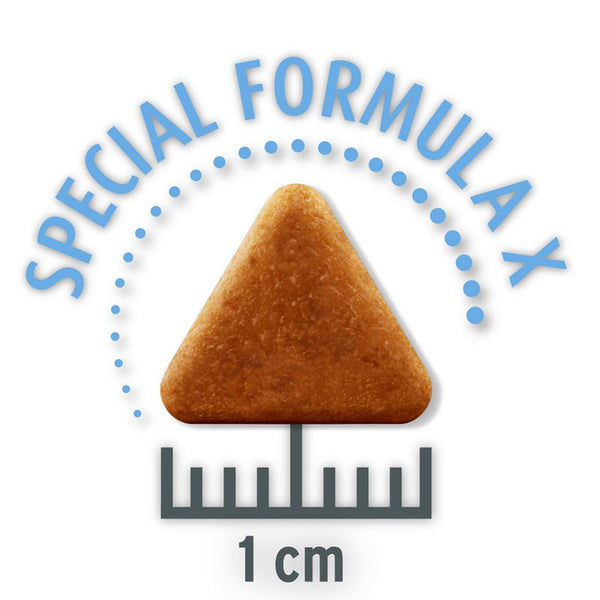 Concept for Life Economy Packs || undefined || view 18