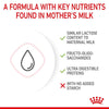 Royal Canin Babycat Milk || Royal Canin || view 5