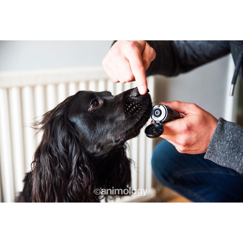 Person applying product from a tube onto their finger and bringing it towards a dog's mouth, demonstrating how to use the product for oral application.