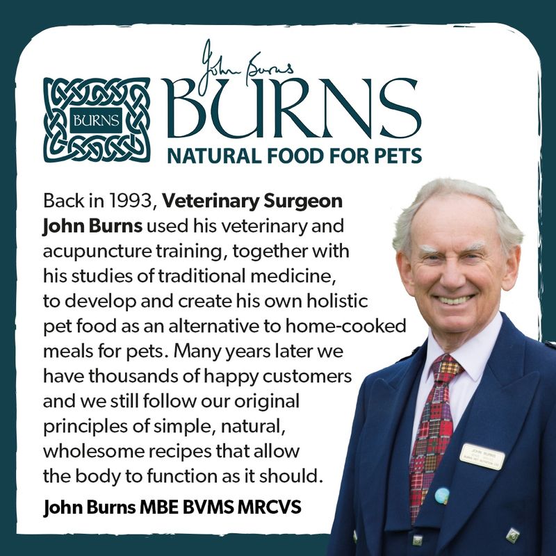 Burns Wholesome Turkey with Carrots & Brown Rice 6 x 395g || Burns || view 5
