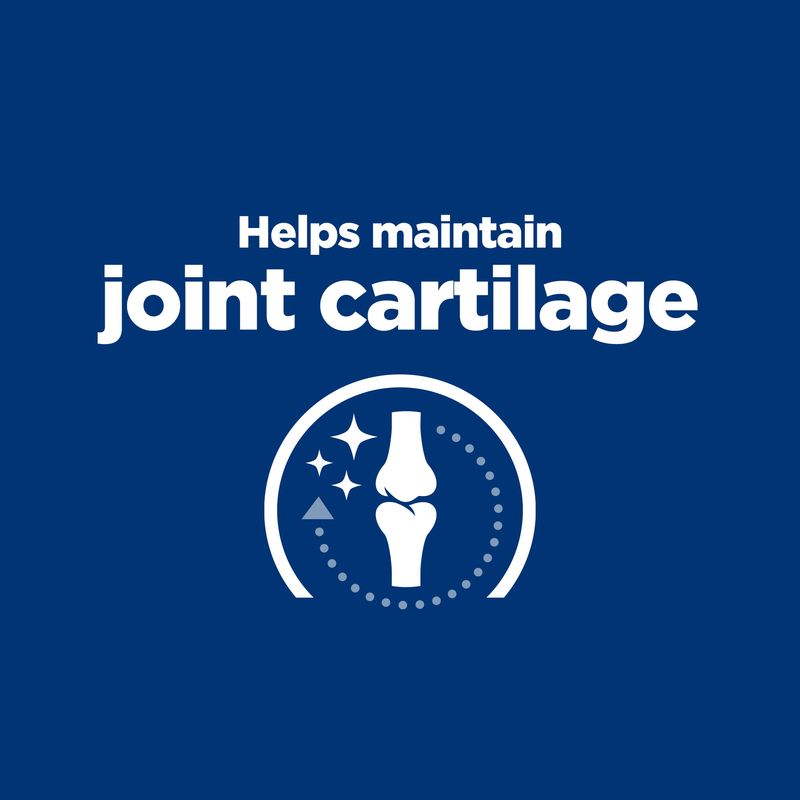Helps maintain joint cartilage, with an icon showing a joint and sparkles to indicate support for joint health.
