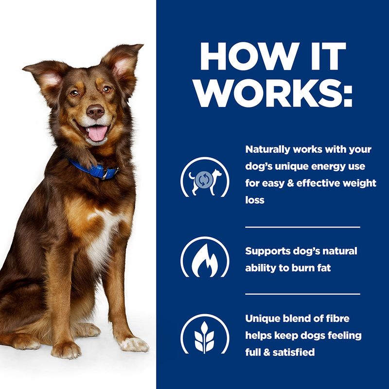 Hill's Prescription Diet Canine Metabolic Weight Management - Lamb & Rice || Hill's Prescription Diet || view 4