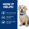 Hill's Prescription Diet Canine w/d Diabetes Care - Chicken || Hill's Prescription Diet || view 6