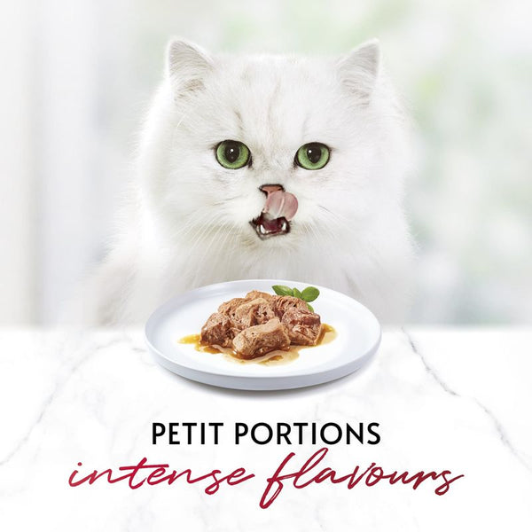 Gourmet Mon Petit || undefined || view 5