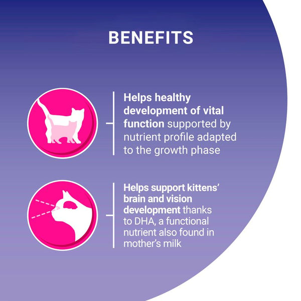 PURINA ONE Light Chicken & Wheat Dry Cat Food || Purina One || view 3