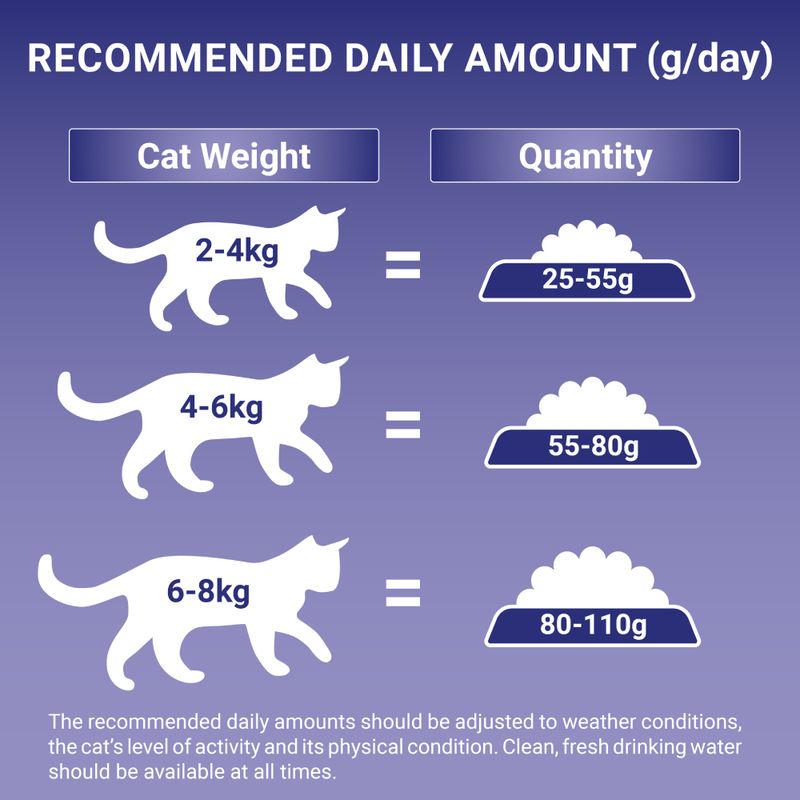 PURINA ONE Indoor Formula Turkey & Whole Grains Dry Cat Food || Purina One || view 8