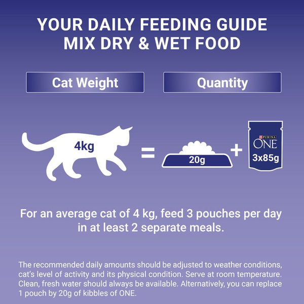 PURINA ONE Adult || undefined || view 10