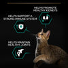 PURINA PRO PLAN Adult Renal Plus - Rich in Chicken || Pro Plan || view 4