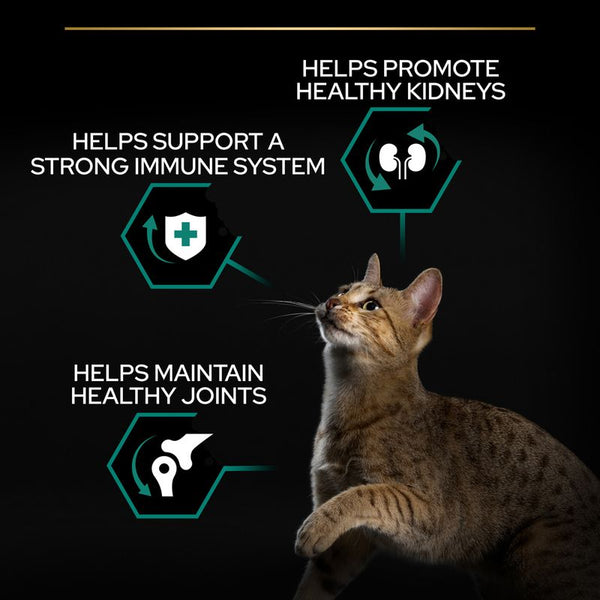 PURINA PRO PLAN Adult Renal Plus - Rich in Chicken || Pro Plan || view 4