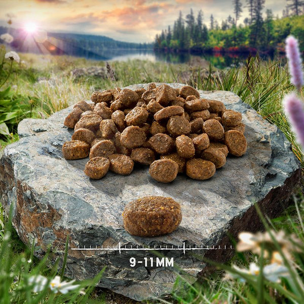 Purizon Adult Grain-Free Lamb with Fish || Purizon || view 4