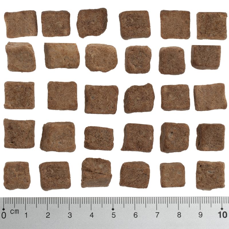 Brown, square food pieces arranged with a scale at the bottom. Piece size between 1 and 2 cm.