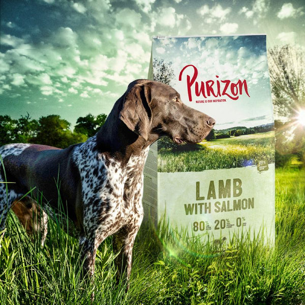 Purizon Original Lamb with Salmon Adult – Grain-free || Purizon || view 8