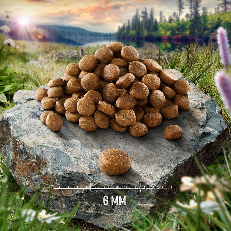 Dog food in pellet form, diameter 6 mm, presented on a stone. Background shows nature with forest and sunset.