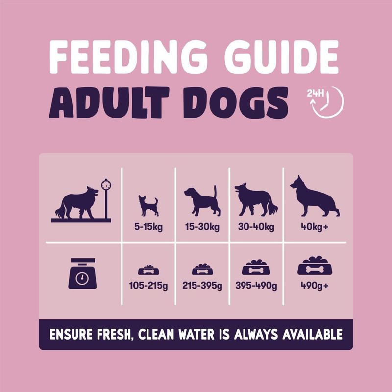 Burgess Sensitive Adult Dog Salmon || Burgess || view 8