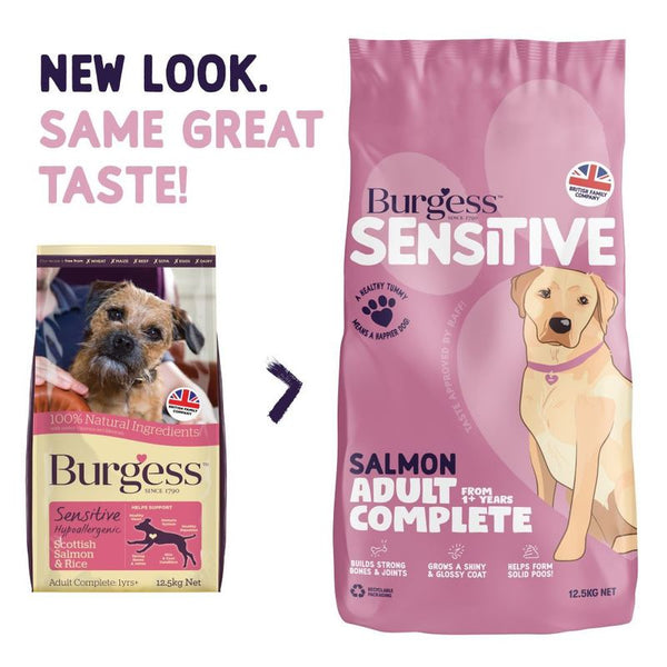Burgess Sensitive Adult Dog Salmon || Burgess || view 4