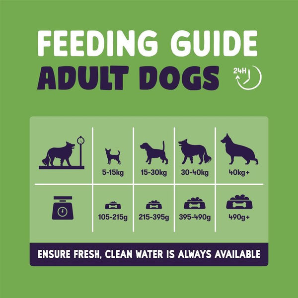 Burgess Sensitive Adult Dog Lamb || Burgess || view 9