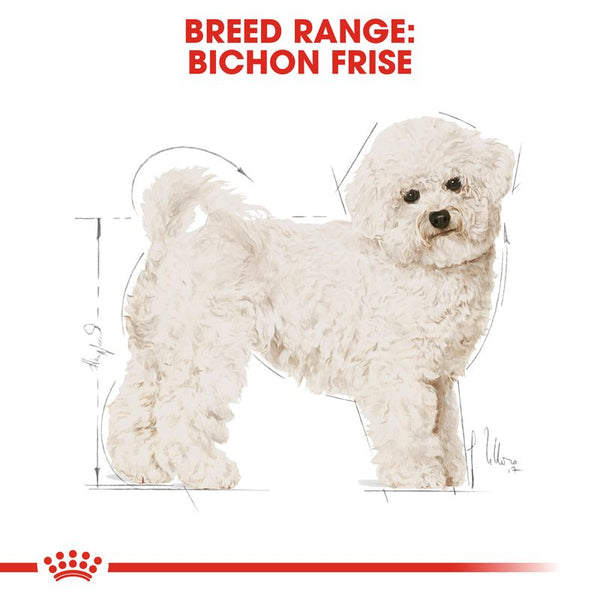 Royal Canin Bichon Frise Adult || Royal Canin Breed || view 5