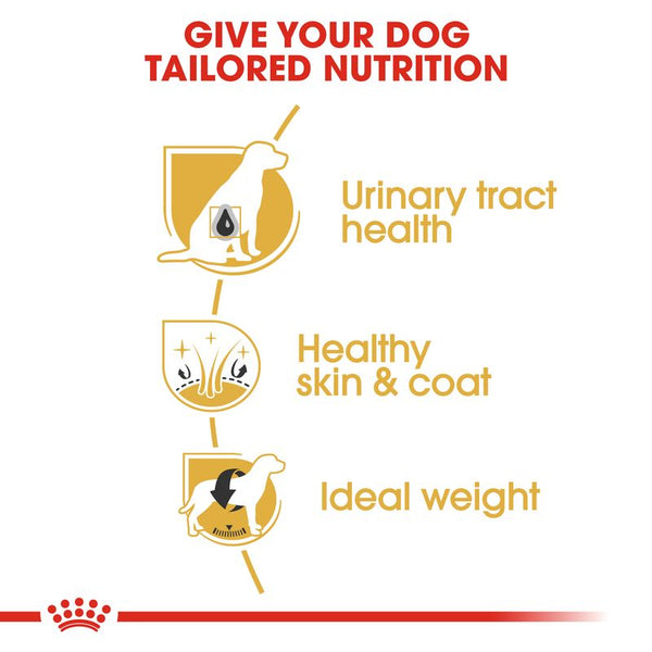 Royal Canin Bichon Frise Adult || Royal Canin Breed || view 3