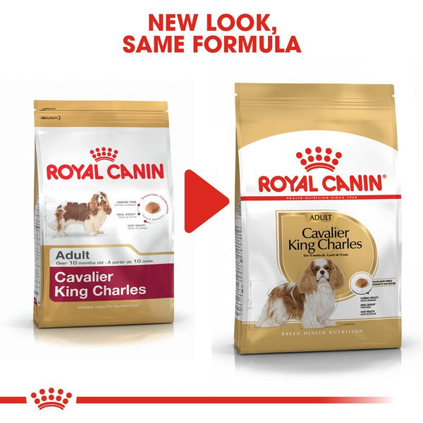 Royal Canin Cavalier King Charles Adult || Royal Canin Breed || view 8
