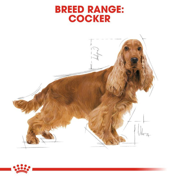 Royal Canin Cocker Spaniel Adult || Royal Canin Breed || view 5