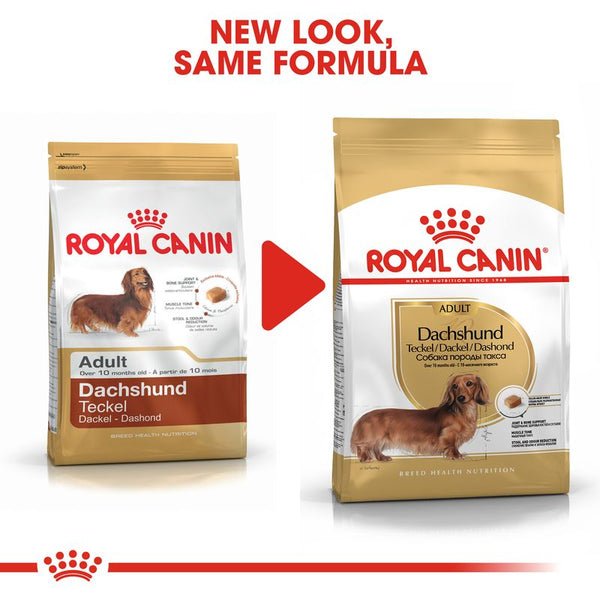 Royal Canin Dachshund Adult || Royal Canin Breed || view 8