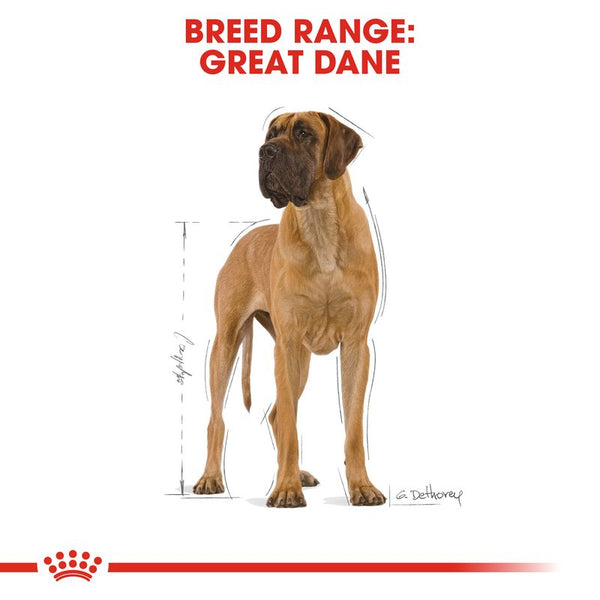 Royal Canin Great Dane Adult || Royal Canin Breed || view 5