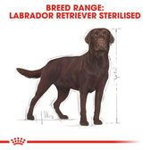 Royal Canin Labrador Retriever Adult Sterilised || Royal Canin Breed || view 5