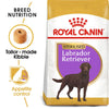 Royal Canin Labrador Retriever Adult Sterilised || Royal Canin Breed || view 1