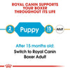 Royal Canin Boxer Puppy || Royal Canin Breed || view 8
