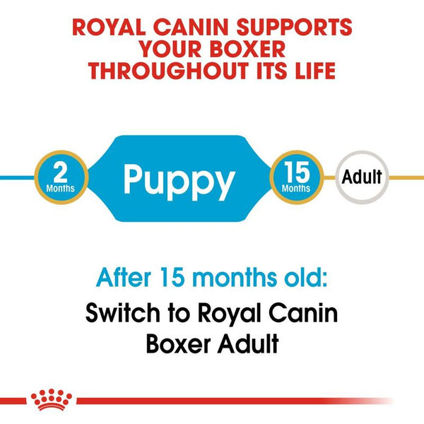 Royal Canin Boxer Puppy || Royal Canin Breed || view 8