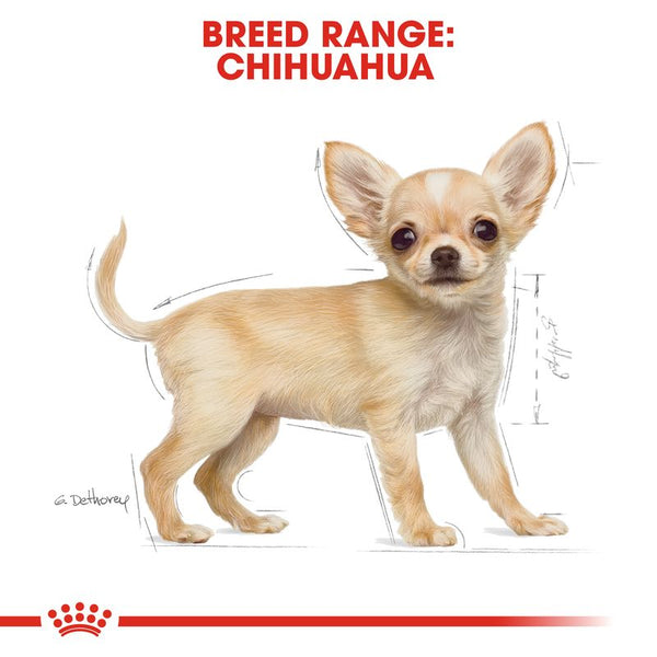 Royal Canin Chihuahua Puppy || Royal Canin Breed || view 6