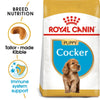 Royal Canin Cocker Spaniel Puppy || Royal Canin Breed || view 1