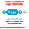 Royal Canin Dachshund Puppy || Royal Canin Breed || view 6