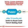 Royal Canin French Bulldog Puppy || Royal Canin Breed || view 6