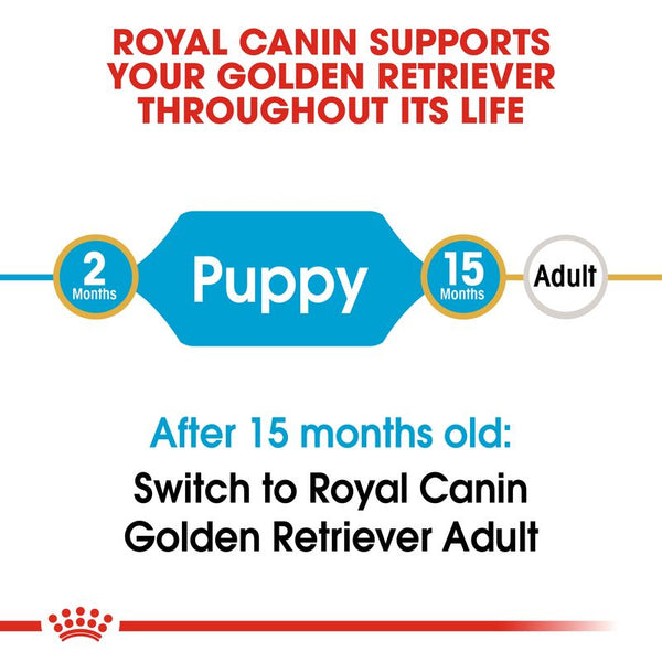Royal Canin Golden Retriever Puppy || Royal Canin Breed || view 5
